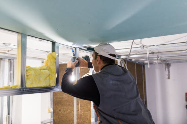 Trusted Shady Hollow, TX Insulation Contractor Experts