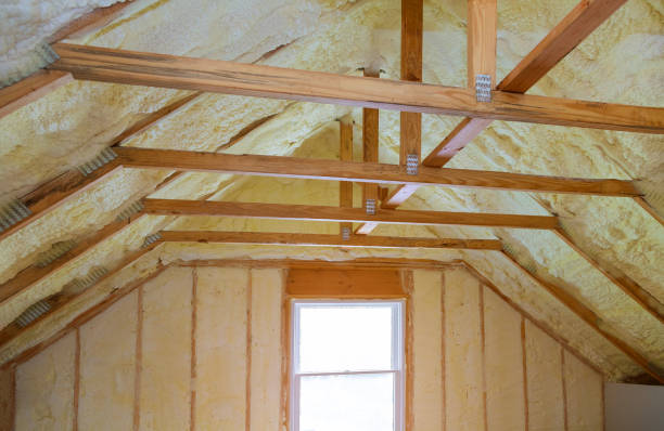 Best Insulation Installation Cost  in Shady Hollow, TX